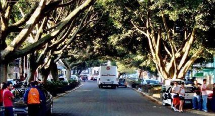 Xalapa tenía un Túnel del Amor formado por árboles cerca de Los Berros