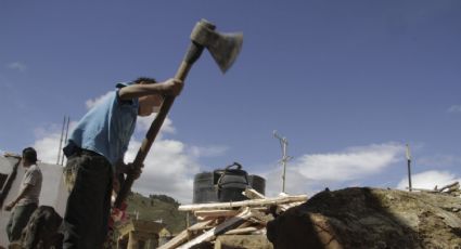 Sindicato logra contratos colectivos donde se sanciona trabajo infantil