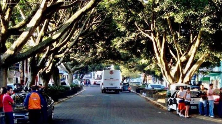 Xalapa tenía un Túnel del Amor formado por árboles cerca de Los Berros