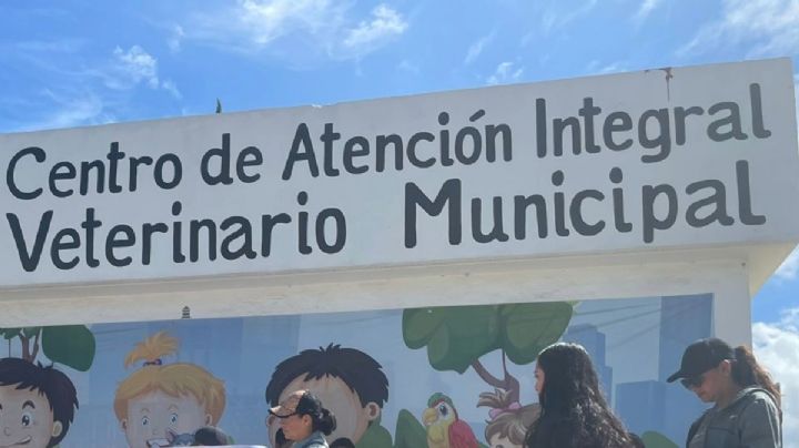 Centro veterinario de Pachuca, un mini “elefante blanco”: Jorge Reyes