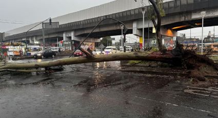 Aguacero en CDMX entorpece operaciones del AICM; se inunda Cancerología