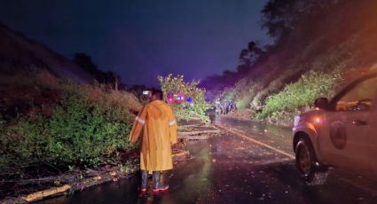 Fuertes lluvias ocasionan deslave y cierre en el libramiento Xalapa - Coatepec