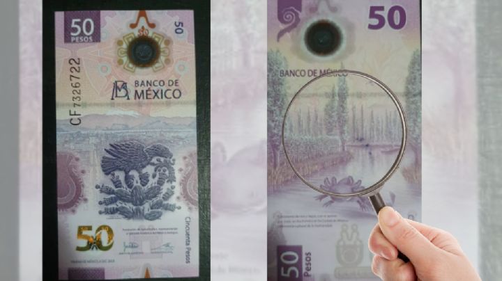Así es el billete del ajolote que por un "arcoíris" vale 15,000,000 de pesos