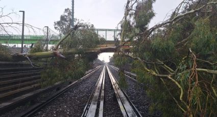 Metro Línea B: Por caída de árboles se suspende el servicio