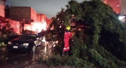 Lluvia azota Puebla: provoca inundaciones y árboles caídos