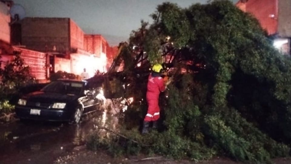 Lluvia azota Puebla: provoca inundaciones y árboles caídos