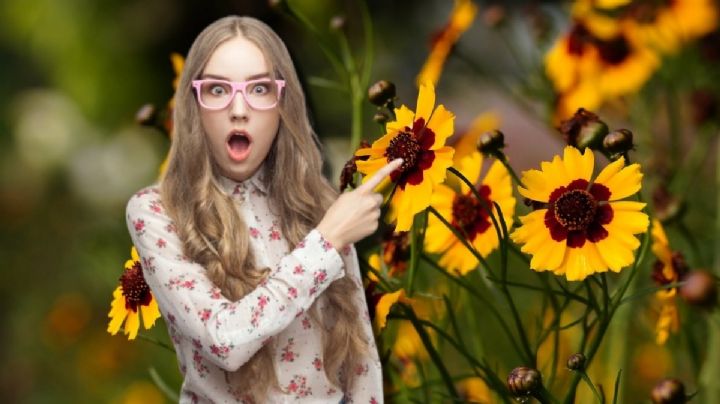¿Por qué se regalan flores amarillas el 21 de septiembre en México?