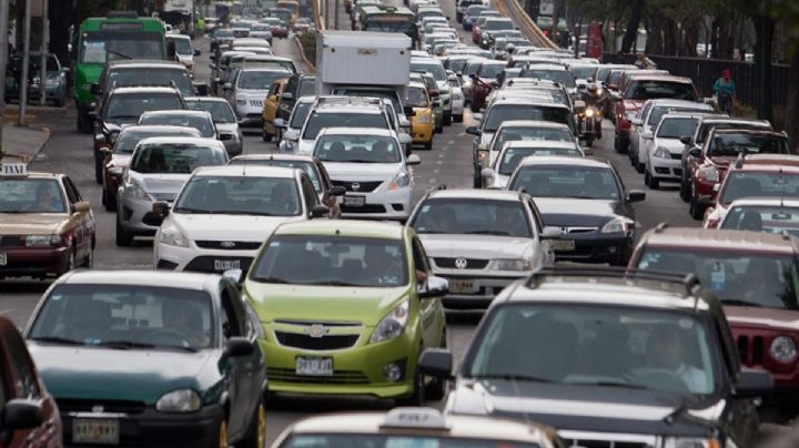 Sedán, SUV, muscle car, ¿cuál es la mejor alternativa de vehículo para ti?