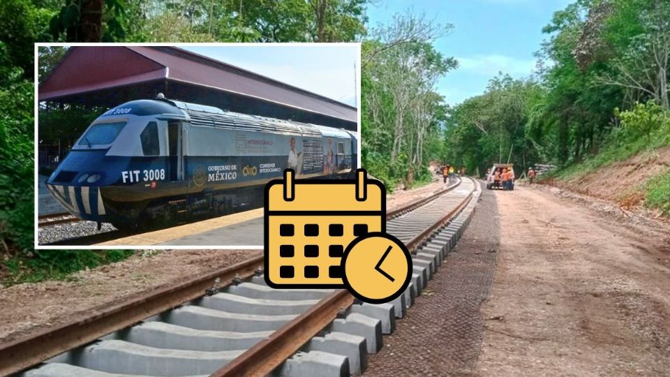 Tren interoceánico: viajes de Veracruz - Chiapas los fines de semana en estos horarios