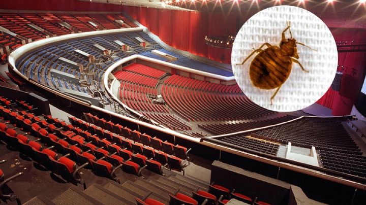 ¿Vas a ir a ver a Espinoza Paz? Reportan chinches en el Auditorio Nacional