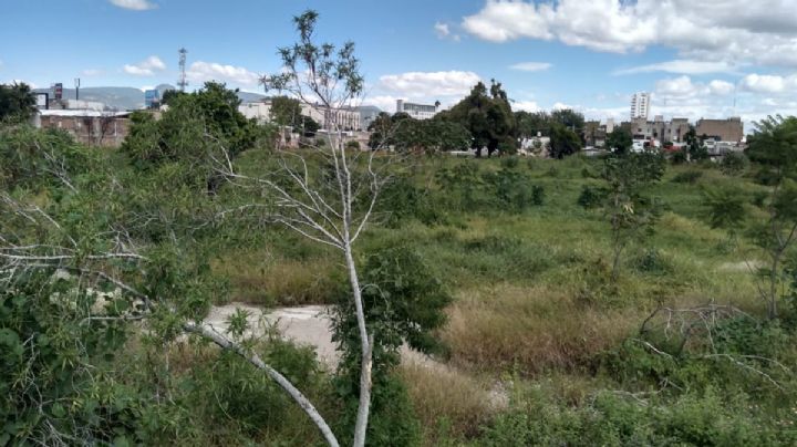 Quitaron el Estadio La Martinica y ahora es un muladar