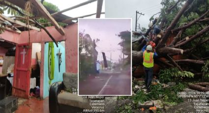 VIDEO: Azota tornado en Catemaco; deja viviendas sin techos y árboles caídos