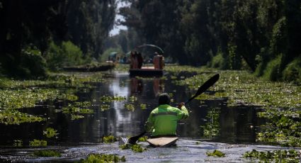 La razón por la que Xochimilco puede dejar de ser Patrimonio Cultural de la Unesco