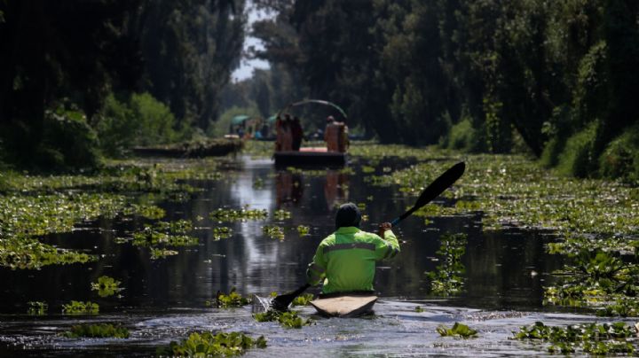 La razón por la que Xochimilco puede dejar de ser Patrimonio Cultural de la Unesco