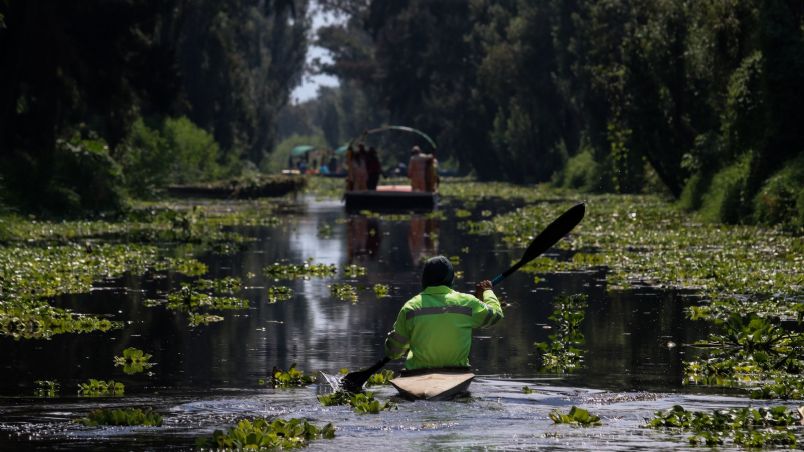 El reconocimiento de la UNESCO está en riesgo debido al abandono, la contaminación y la falta de mantenimiento del sistema de canales y chinampas, ya que, según especialistas, solo el 30% de las chinampas que existían en 1987, cuando Xochimilco fue declarado Patrimonio de la Humanidad, permanecen activas hoy en día.