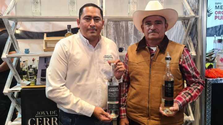 Puebla busca duplicar su producción de mezcal