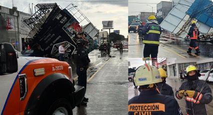 Tromba en Puebla provoca árboles derribados, caída de espectaculares y autos aplastados