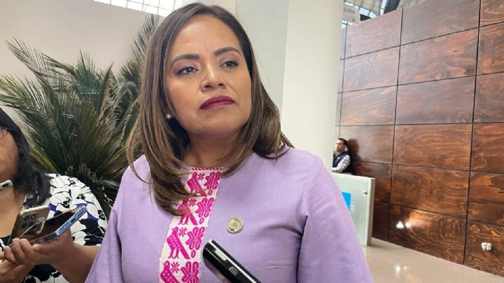 Recrimina Lisset Marcelino falta de paridad en 65 legislatura local