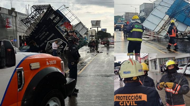 Tromba en Puebla provoca árboles derribados, caída de espectaculares y autos aplastados