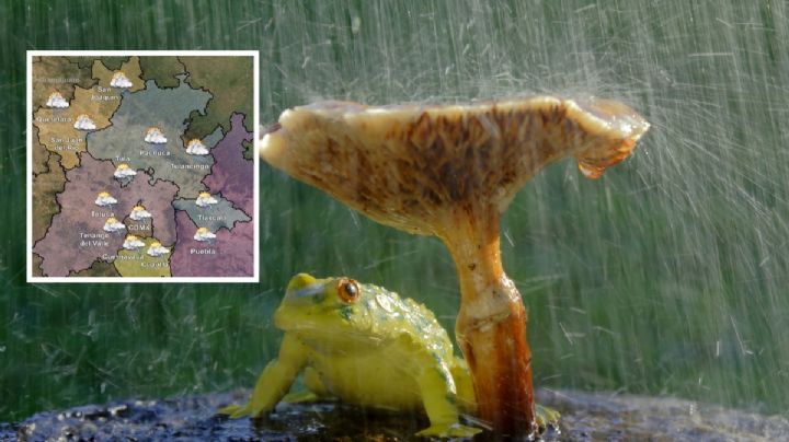 Clima hoy en Hidalgo: Día principalmente nublado con lluvia en la tarde