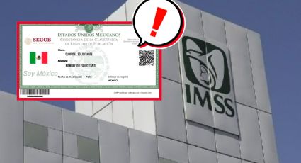 IMSS "echa el ojo" a los nuevos derechohabientes; lanza aviso sobre el CURP