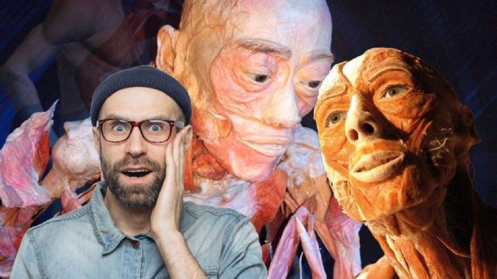 Our Body: Una expo con cuerpos humanos reales en Pachuca; te contamos los detalles