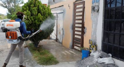 Dengue cobra 6 vidas y aumentan dramáticamente los contagios en Nuevo León y Tamaulipas