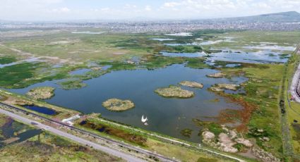 Alertan riesgo de inundaciones en Edomex y CDMX por falla estructural en Lago de Texcoco