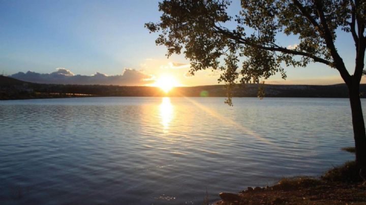 ¿Por qué la presa de El Palote es Área Natural Protegida?