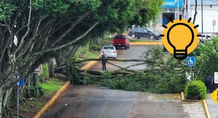 Frente frío en Xalapa: Estas 89 colonias se quedaron sin luz