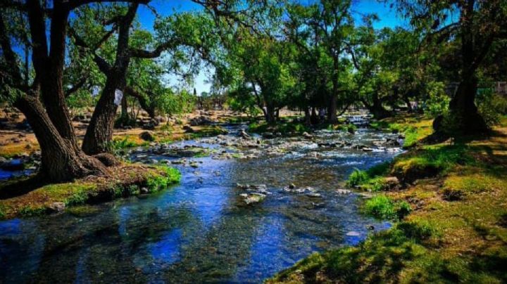 Ventoquipa, la comunidad hidalguense que se unió para cuidar su manantial