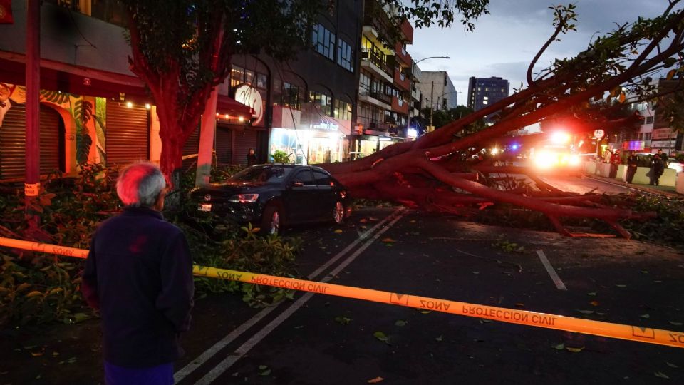 Por segundo día consecutivo, fuertes vientos azotan la CDMX