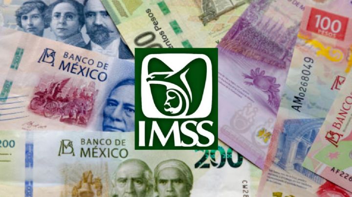 Pensión IMSS 2025: ¿Por qué se retrasaría el pago de febrero en Guanajuato?