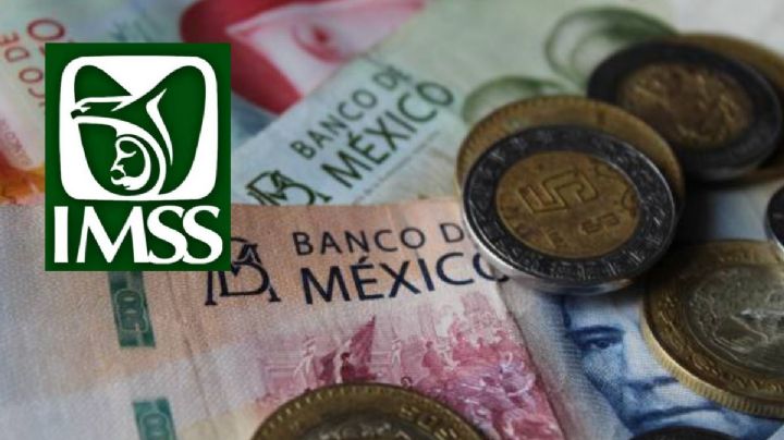 Pensión IMSS 2025: ¿Por qué se retrasaría el pago de febrero en Hidalgo?