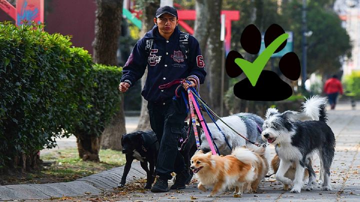 Estos son los parques que sí puedes visitar con tu perrito en 2025