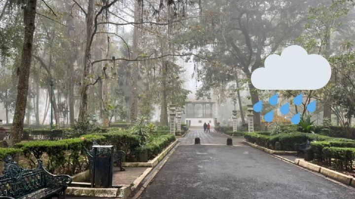 Frente frío 23: Así estará el clima en Xalapa este lunes 13 de enero