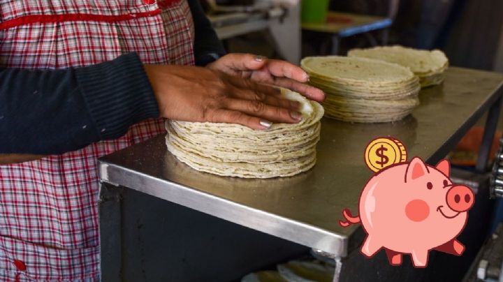 Esta tortillería en Veracruz vendió el kilo más barato del país