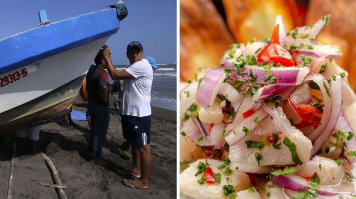 Anuncian Festival del pescador 2025 en Veracruz, ¿Cuándo será?
