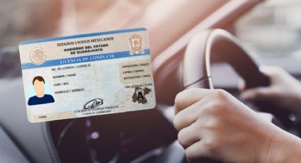 Así es el nuevo fraude en Guanajuato; alertan por licencias de conducir falsas