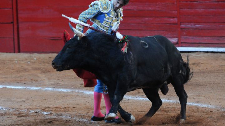 Jueza prohíbe instrumentos de maltrato en corridas de toros; alcaldía Benito Juárez promete acatar orden