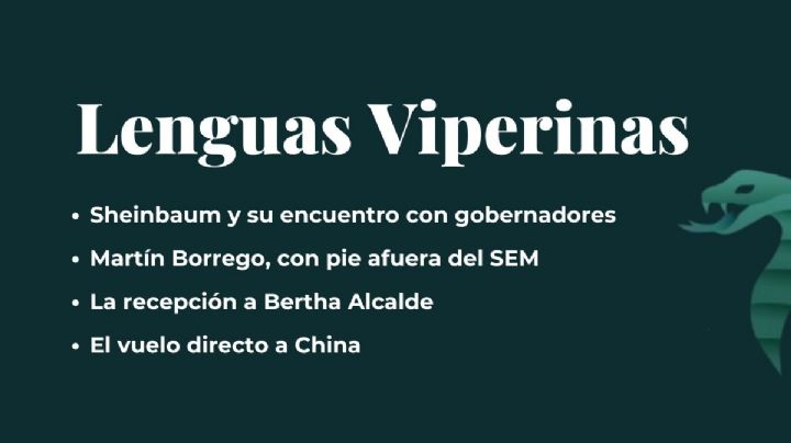 Lenguas Viperinas