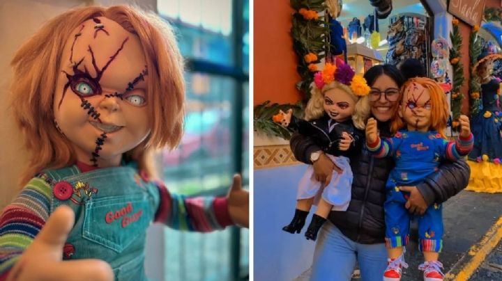 VIDEO: Regresan a Chucky robado de barbería de Xalapa