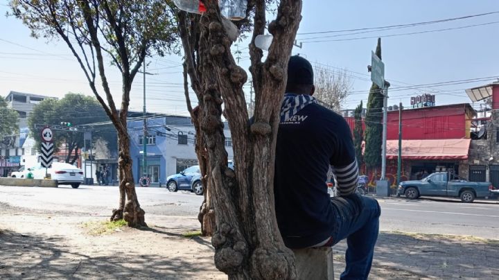 Migrantes extranjeros en Hidalgo: en la precariedad laboral y social y con los sueños rotos