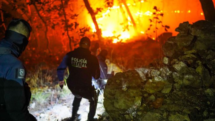 ¿Quiénes son los 6 muertos por desplome de avioneta en Nayarit? Revelan sus identidades