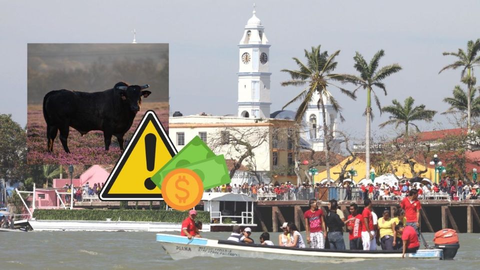 Fiestas de la Candelaria Tlacotalpan: Esta es la multa si maltratas a los toros el próximo 1 de febrero