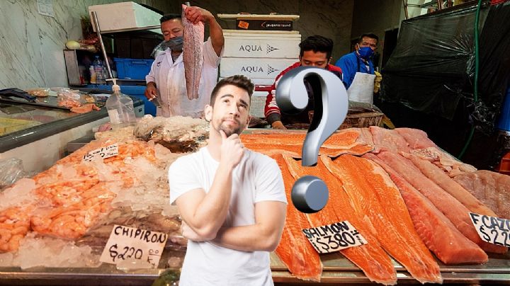 ¿Quién es el dueño del Mercado de La Nueva Viga, el lugar de mariscos más grande de México?