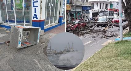 Norte explosivo: Árboles, postes y semáforos caídos por viento de 100 km/h en Veracruz