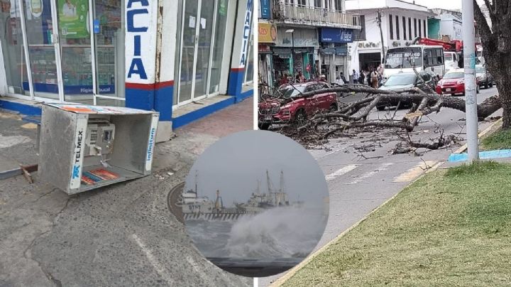 Norte explosivo: Árboles, postes y semáforos caídos por viento de 100 km/h en Veracruz