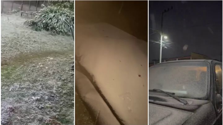 Así el clima en Hidalgo: cae nieve en estos municipios; checa las imágenes