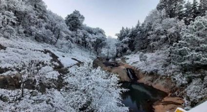 Los paisajes que dejó la nieve en los municipios de Guanajuato